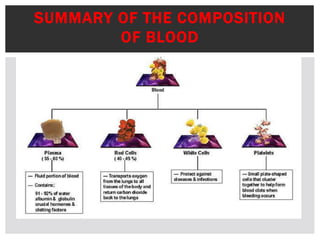 SUMMARY OF THE COMPOSITION
OF BLOOD
 