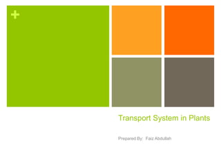 +
Transport System in Plants
Prepared By: Faiz Abdullah
 