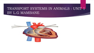 TRANSPORT SYSTEMS IN ANIMALS : UNIT 1
BY L.G MAMBANE
RAuNSTRANSPO SYSTEMS IN ANIMALS
PORT SYSTEMS IN ANIMALS
 