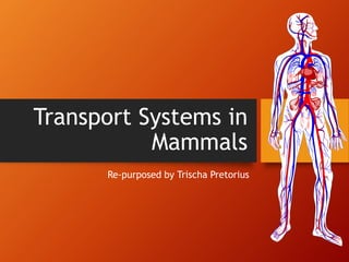Transport Systems in
Mammals
Re-purposed by Trischa Pretorius
 
