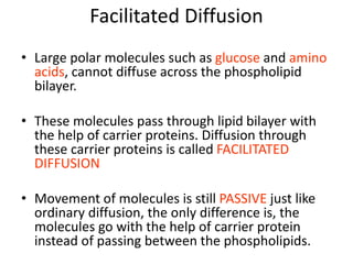 Facilitated Diffusion
• Large polar molecules such as glucose and amino
acids, cannot diffuse across the phospholipid
bilayer.
• These molecules pass through lipid bilayer with
the help of carrier proteins. Diffusion through
these carrier proteins is called FACILITATED
DIFFUSION
• Movement of molecules is still PASSIVE just like
ordinary diffusion, the only difference is, the
molecules go with the help of carrier protein
instead of passing between the phospholipids.
 