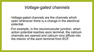 Voltage-gated channels
•Voltage-gated channels are the channels which
open whenever there is a change in the electrical
potential.
•For example, in the neuromuscular junction, when
action potential reaches axon terminal, the calcium
channels are opened and calcium ions diffuse into
the interior of the axon terminal from ECF.
 