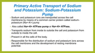 Primary Active Transport of Sodium
and Potassium: Sodium-Potassium
Pump
• Sodium and potassium ions are transported across the cell
membrane by means of a common carrier protein called sodium-
potassium (Na+-K+) pump
• Also called Na+-K+ ATPase pump or Na+-K+ ATPase.
• Transports sodium from inside to outside the cell and potassium from
outside to inside the cell.
• Present in all the cells of the body.
• Responsible for the distribution of sodium and potassium ions across
the cell membrane and the development of resting membrane
potential.
 