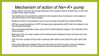 Mechanism of action of Na+-K+ pump
• Three sodium ions from the cell get attached to the receptor sites of sodium ions on the inner
surface of the carrier protein.
• Two potassium ions outside the cell bind to the receptor sites of potassium ions located on
the outer surface of the carrier protein .
• Binding of sodium and potassium ions to carrier protein activates the enzyme ATPase.
• ATPase causes breakdown of ATP into adenosine diphosphate (ADP) with the release of one
high energy phosphate.
• Now, the energy liberated causes some sort of conformational change in the molecule of the
carrier protein.
• Because of this, the outer surface of the molecule (with potassium ions) now faces the inner
side of the cell.
• And, the inner surface of the protein molecule (with sodium ions) faces the outer side of the
cell .
• Now, dissociation and release of the ions take place so that the sodium ions are released
outside the cell (ECF) and the potassium ions are released inside the cell (ICF)..
 