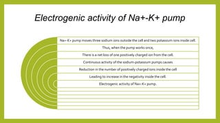 Electrogenic activity of Na+-K+ pump
Na+-K+ pump moves three sodium ions outside the cell and two potassium ions inside cell.
Thus, when the pump works once,
There is a net loss of one positively charged ion from the cell.
Continuous activity of the sodium-potassium pumps causes
Reduction in the number of positively charged ions inside the cell
Leading to increase in the negativity inside the cell.
Electrogenic activity of Na+-K+ pump.
 