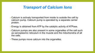 Transport of Calcium Ions
• Calcium is actively transported from inside to outside the cell by
calcium pump. Calcium pump is operated by a separate carrier
protein.
• Energy is obtained from ATP by the catalytic activity of ATPase.
• Calcium pumps are also present in some organelles of the cell such
as sarcoplasmic reticulum in the muscle and the mitochondria of all
the cells.
• These pumps move calcium into the organelles.
 