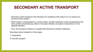 SECONDARY ACTIVE TRANSPORT
• Secondary active transport is the transport of a substance with sodium ion, by means of a
common carrier protein.
• When sodium is transported by a carrier protein, another substance is also transported by the
same protein simultaneously, either in the same direction (of sodium movement) or in the
opposite direction.
• Thus, the transport of sodium is coupled with transport of another substance.
Secondary active transport is of two types:
1. Cotransport
2. Counter transport.
 