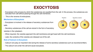 EXOCYTOSIS
• Exocytosis is the process by which the substances are expelled from the cell. In this process, the substances are
extruded from cell without passing through the cell membrane.
• This is the reverse of endocytosis.
Mechanism of Exocytosis
• Exocytosis is involved in the release of secretory substances from
cells.
• Secretory substances of the cell are stored in the form of secretory
vesicles in the cytoplasm.
• When required, the vesicles approach the cell membrane and get fused with the cell membrane.
• Later, the contents of the vesicles are released out of the cell .
Role of Calcium in Exocytosis
• Calcium ions play an important role during the release of some secretory substances such as neurotransmitters.
• The calcium ions enter the cell and cause exocytosis.
 