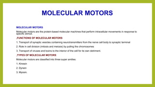 MOLECULAR MOTORS
MOLECULAR MOTORS
Molecular motors are the protein-based molecular machines that perform intracellular movements in response to
specific stimuli.
„FUNCTIONS OF MOLECULAR MOTORS
1. Transport of synaptic vesicles containing neurotransmitters from the nerve cell body to synaptic terminal
2. Role in cell division (mitosis and meiosis) by pulling the chromosomes
3. Transport of viruses and toxins to the interior of the cell for its own detriment.
„TYPES OF MOLECULAR MOTORS
Molecular motors are classified into three super amilies:
1. Kinesin
2. Dynein
3. Myosin.
 
