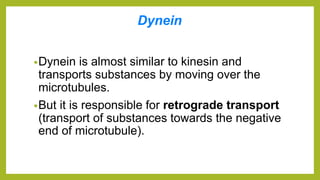 Dynein
•Dynein is almost similar to kinesin and
transports substances by moving over the
microtubules.
•But it is responsible for retrograde transport
(transport of substances towards the negative
end of microtubule).
 