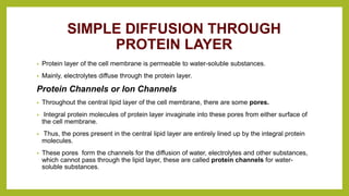 SIMPLE DIFFUSION THROUGH
PROTEIN LAYER
• Protein layer of the cell membrane is permeable to water-soluble substances.
• Mainly, electrolytes diffuse through the protein layer.
Protein Channels or Ion Channels
• Throughout the central lipid layer of the cell membrane, there are some pores.
• Integral protein molecules of protein layer invaginate into these pores from either surface of
the cell membrane.
• Thus, the pores present in the central lipid layer are entirely lined up by the integral protein
molecules.
• These pores form the channels for the diffusion of water, electrolytes and other substances,
which cannot pass through the lipid layer, these are called protein channels for water-
soluble substances.
 