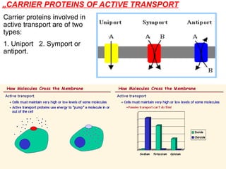 „CARRIER PROTEINS OF ACTIVE TRANSPORT
Carrier proteins involved in
active transport are of two
types:
1. Uniport 2. Symport or
antiport.
 
