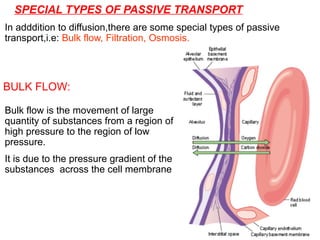 SPECIAL TYPES OF PASSIVE TRANSPORT
In adddition to diffusion,there are some special types of passive
transport,i.e: Bulk flow, Filtration, Osmosis.
BULK FLOW:
Bulk flow is the movement of large
quantity of substances from a region of
high pressure to the region of low
pressure.
It is due to the pressure gradient of the
substances across the cell membrane
 