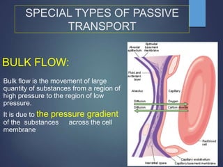 SPECIAL TYPES OF PASSIVE
TRANSPORT
BULK FLOW:
Bulk flow is the movement of large
quantity of substances from a region of
high pressure to the region of low
pressure.
It is due to the pressure gradient
of the substances across the cell
membrane
 