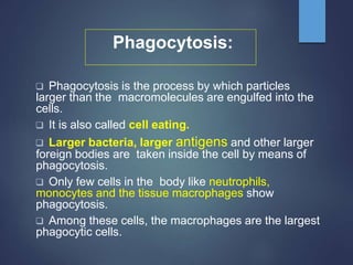 Phagocytosis:
 Phagocytosis is the process by which particles
larger than the macromolecules are engulfed into the
cells.
 It is also called cell eating.
 Larger bacteria, larger antigens and other larger
foreign bodies are taken inside the cell by means of
phagocytosis.
 Only few cells in the body like neutrophils,
monocytes and the tissue macrophages show
phagocytosis.
 Among these cells, the macrophages are the largest
phagocytic cells.
 