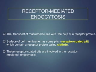 RECEPTOR-MEDIATED
ENDOCYTOSIS
 The transport of macromolecules with the help of a receptor protein.
 Surface of cell membrane has some pits (receptor-coated pit)
which contain a receptor protein called clathrin.
 These receptor-coated pits are involved in the receptor-
mediated endocytosis.
 