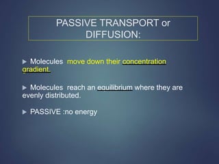 PASSIVE TRANSPORT or
DIFFUSION:
 Molecules move down their concentration
gradient.
 Molecules reach an equilibrium where they are
evenly distributed.
 PASSIVE :no energy
 