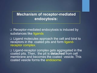 Mechanism of receptor-mediated
endocytosis:
 Receptor-mediated endocytosis is induced by
substances like ligands
 Ligand molecules approach the cell and bind to
receptors in the coated pits and form ligand-
receptor complex.
 Ligand-receptor complex gets aggregated in the
coated pits. Then, the pit is detached from cell
membrane and becomes the coated vesicle. This
coated vesicle forms the endosome.
 