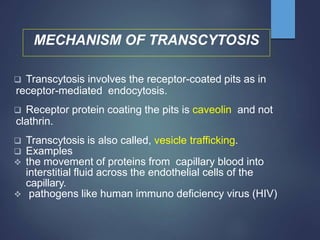 MECHANISM OF TRANSCYTOSIS
 Transcytosis involves the receptor-coated pits as in
receptor-mediated endocytosis.
 Receptor protein coating the pits is caveolin and not
clathrin.
 Transcytosis is also called, vesicle trafficking.
 Examples
 the movement of proteins from capillary blood into
interstitial fluid across the endothelial cells of the
capillary.
 pathogens like human immuno deficiency virus (HIV)
 