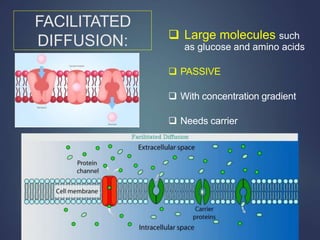 FACILITATED
DIFFUSION:  Large molecules such
as glucose and amino acids
 PASSIVE
 With concentration gradient
 Needs carrier
 