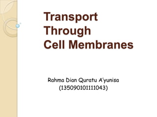Transport
Through
Cell Membranes
Rahma Dian Quratu A’yunisa
(135090101111043)

 