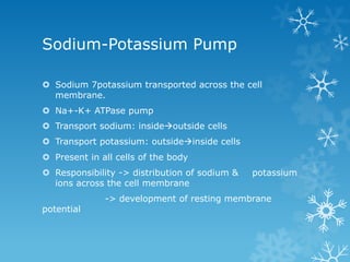 Sodium-Potassium Pump
 Sodium 7potassium transported across the cell
membrane.
 Na+-K+ ATPase pump
 Transport sodium: insideoutside cells
 Transport potassium: outsideinside cells
 Present in all cells of the body
 Responsibility -> distribution of sodium & potassium
ions across the cell membrane
-> development of resting membrane
potential
 