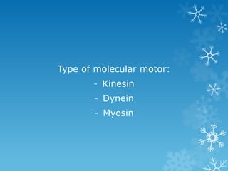 Type of molecular motor:
- Kinesin
- Dynein
- Myosin
 