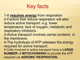 Key facts
1-It requires energy from respiration
2-Factors that reduce respiration will also
reduce active transport: e.g. lower
temperature; lack of oxygen; metabolic and
respiratory inhibitors.
3-Active transport involves carrier proteins in
the membrane.
4-The hydrolysis of ATP releases the energy
required for active transport.
5-Cells involved in active transport have a LARGE
NUMBER of MITOCHONDRIA to provide the ATP
required via AEROBIC RESPIRATION.
 
