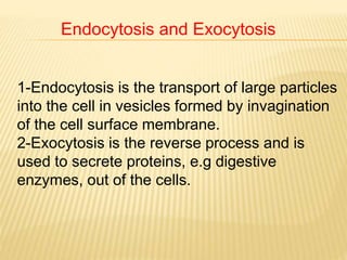 Endocytosis and Exocytosis
1-Endocytosis is the transport of large particles
into the cell in vesicles formed by invagination
of the cell surface membrane.
2-Exocytosis is the reverse process and is
used to secrete proteins, e.g digestive
enzymes, out of the cells.
 