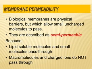 MEMBRANE PERMEABILITY
• Biological membranes are physical
barriers, but which allow small uncharged
molecules to pass.
• They are described as semi-permeable
Because;
• Lipid soluble molecules and small
molecules pass through
• Macromolecules and charged ions do NOT
pass through
 