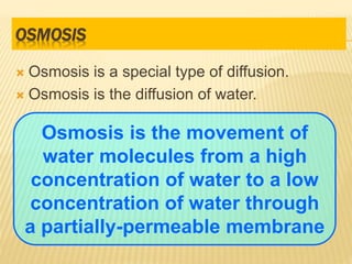 OSMOSIS
 Osmosis is a special type of diffusion.
 Osmosis is the diffusion of water.
Osmosis is the movement of
water molecules from a high
concentration of water to a low
concentration of water through
a partially-permeable membrane
 