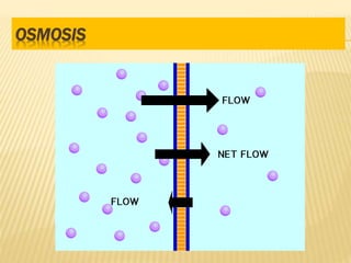 OSMOSIS
 
