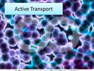 Active Transport
 