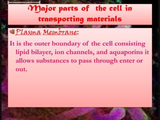 Major parts of the cell in
transporting materials
Plasma Membrane:
It is the outer boundary of the cell consisting
lipid bilayer, ion channels, and aquaporins it
allows substances to pass through enter or
out.
 