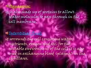 Aquaporin:
it is also made up of proteins to allows
water molecules to pass through in the
cell membrane.
Interstitial fluid:
it sorrounds the cell consisting water,
nutrients, oxygen and etc. for the
suitable environment of the cell it is also
used in exchanging blood (plasma) in the
capillares.
 