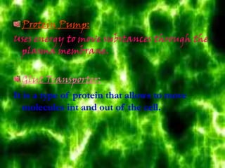 Protein Pump:
Uses energy to move substances through the
plasma membrane.
Glut Transporter:
It is a type of protein that allows to move
molecules int and out of the cell.
 