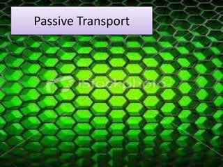 Passive Transport
 
