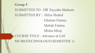 Group 5
SUBMITTED TO : DR Tayyaba Shaheen
SUBMITTED BY : Hifza Shahid
Ghulam Fatima
Mehak Fatima
Misha Miraj
COURSE TITLE : Advance in Cell
MS BIOTECHNOLOGY(SEMESTER 1)
 