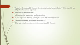 The end of all sequenced IS elements show inverted terminal repeats (IRs) of 9–41 bp (e.g., IS1 has
23 bp of nearly identical sequence)
 Integration of IS elements may:
 a. Disrupt coding sequences or regulatory regions.
 b. Alter expression of nearby genes by the action of IS element promoters.
 c. Cause deletions and inversions in adjacent DNA.
 d. Serve as a site for crossing-over between duplicated IS elements.
 