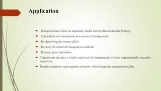 Application
 Transposon have been an especially useful tool in plant molecular biology.
 Researchers use transposons as a means of mutagenesis.
 To identifying the mutant allele.
 To study the chemical mutagenesis methods.
 To study gene expression.
 Transposons are also a widely used tool for mutagenesis of most experimentally tractable
organisms.
 Genetic mutation creates genetic diversity which keeps the population healthy.
 