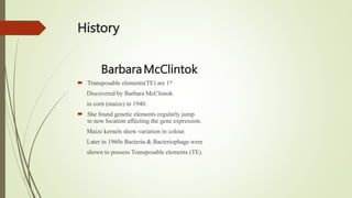 History
BarbaraMcClintok
 Transposable elements(TE) are 1st
Discovered by Barbara McClintok
in corn (maize) in 1940.
 She found genetic elements regularly jump
to new location affecting the gene expression.
Maize kernels show variation in colour.
Later in 1960s Bacteria & Bacteriophage were
shown to possess Transposable elements (TE).
 