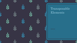 Transposable
Elements
 