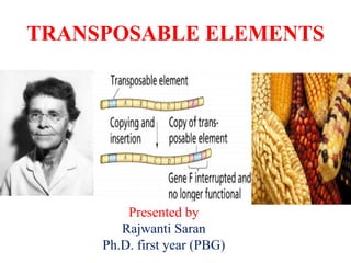 TRANSPOSABLE ELEMENTS
Presented by
Rajwanti Saran
Ph.D. first year (PBG)
 