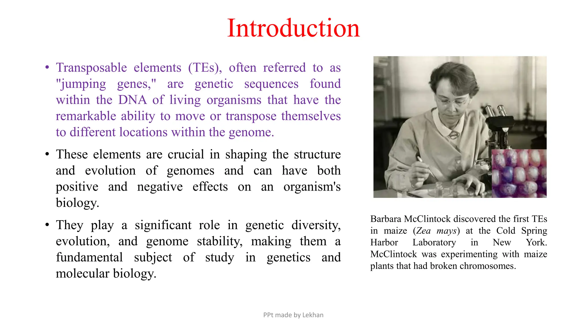 Introduction
• Transposable elements (TEs), often referred to as
"jumping genes," are genetic sequences found
within the DNA of living organisms that have the
remarkable ability to move or transpose themselves
to different locations within the genome.
• These elements are crucial in shaping the structure
and evolution of genomes and can have both
positive and negative effects on an organism's
biology.
• They play a significant role in genetic diversity,
evolution, and genome stability, making them a
fundamental subject of study in genetics and
molecular biology.
Barbara McClintock discovered the first TEs
in maize (Zea mays) at the Cold Spring
Harbor Laboratory in New York.
McClintock was experimenting with maize
plants that had broken chromosomes.
PPt made by Lekhan
 