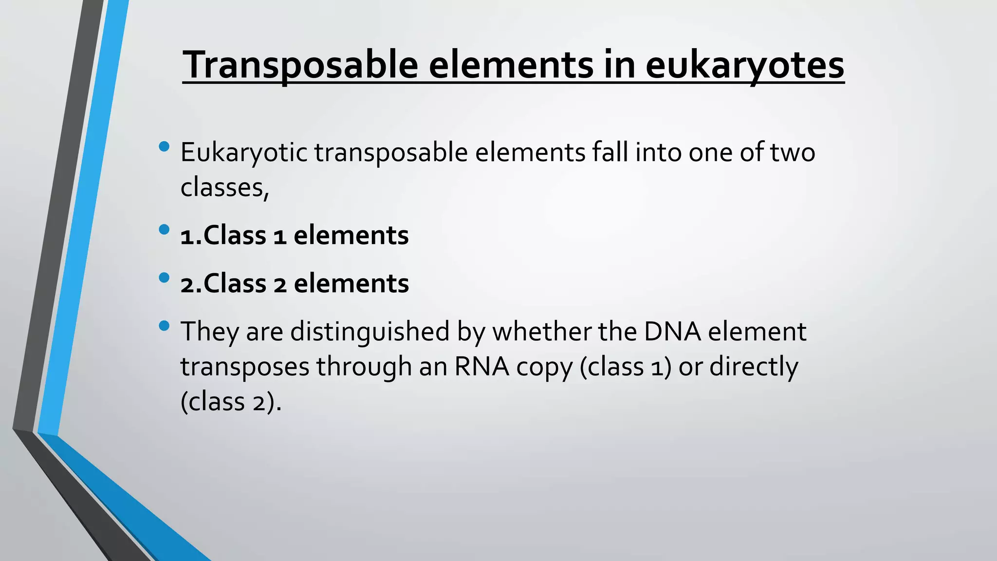 Transposable elements in Maize And Drosophila | PPTX