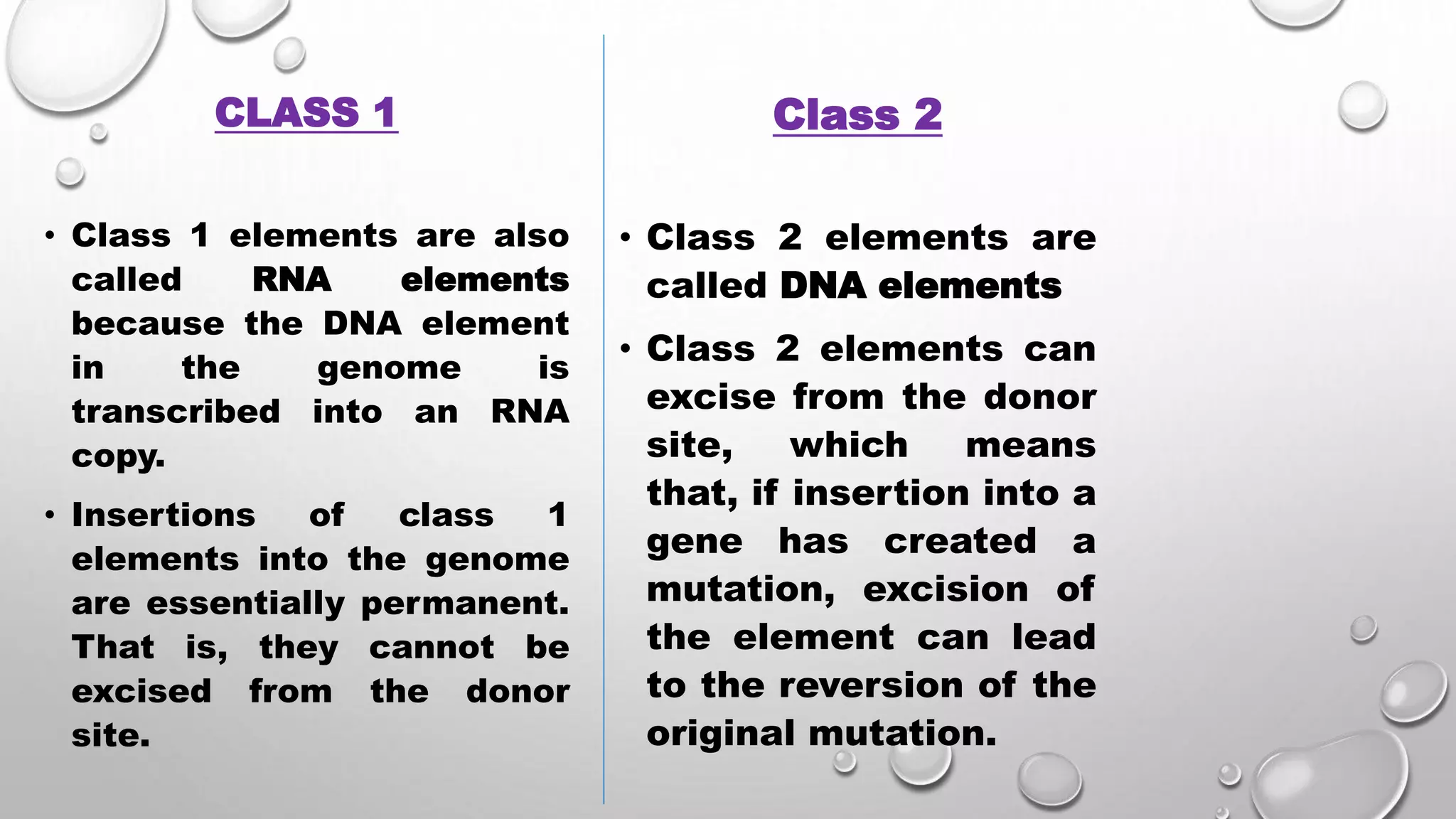Transposable elements in Maize And Drosophila | PPTX