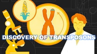 DISCOVERY OF TRANSPOSONS
 