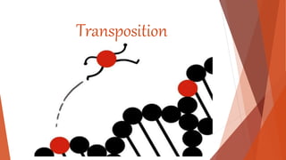 Transposition
 