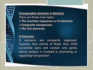 Comprehensive Overview of Transposable Elements in Prokaryotes and ...