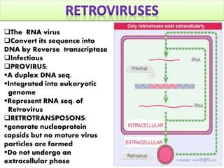 Transposable elements suk | PPTX